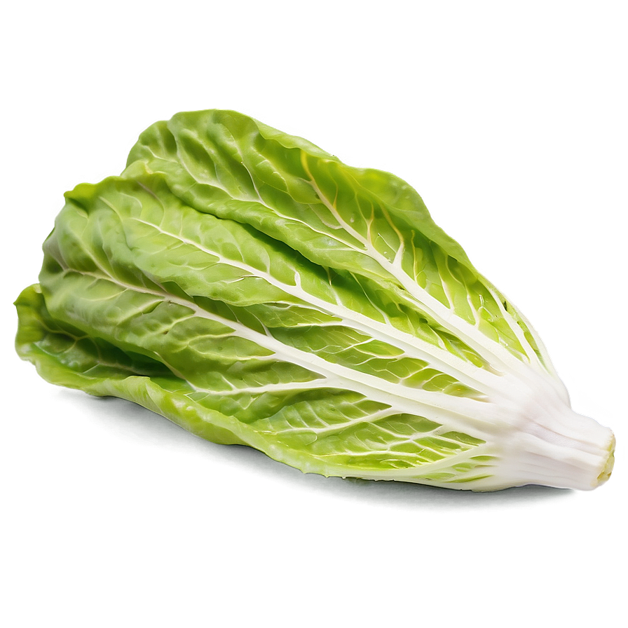 Cos Lettuce Png Enh