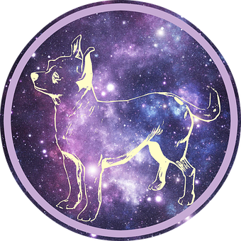 Cosmic Chihuahua Constellation PNG with transparent background