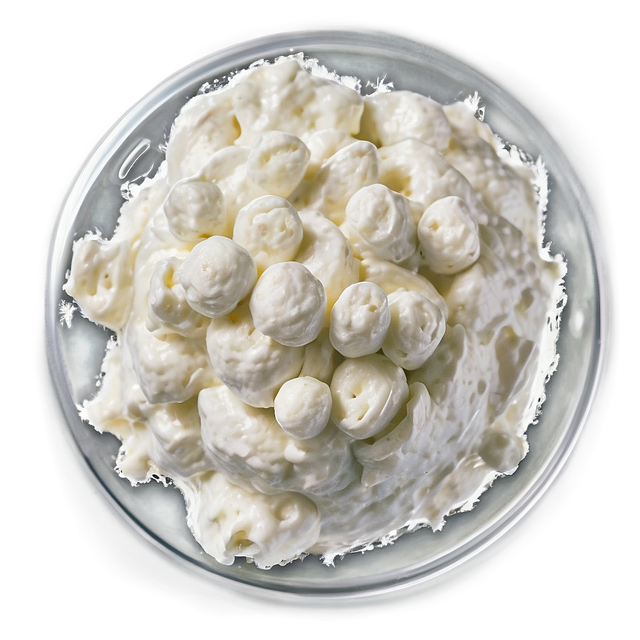 Cottage Cheese Delight Png 06262024