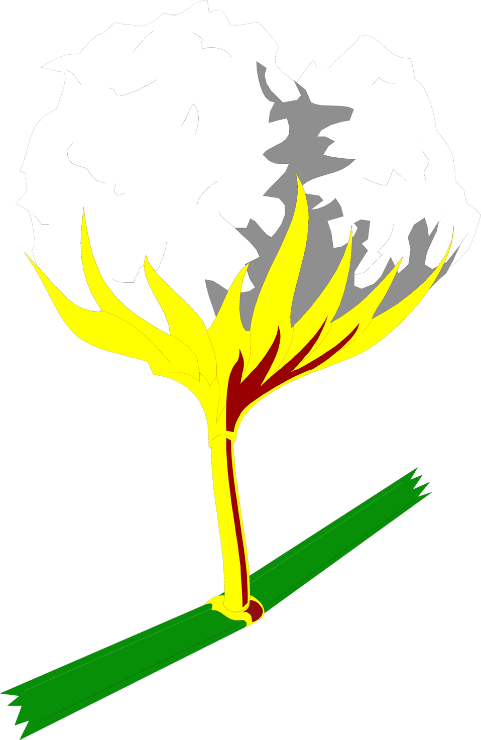 Transparent Cotton Plant Png, Png Download PNG with transparent background