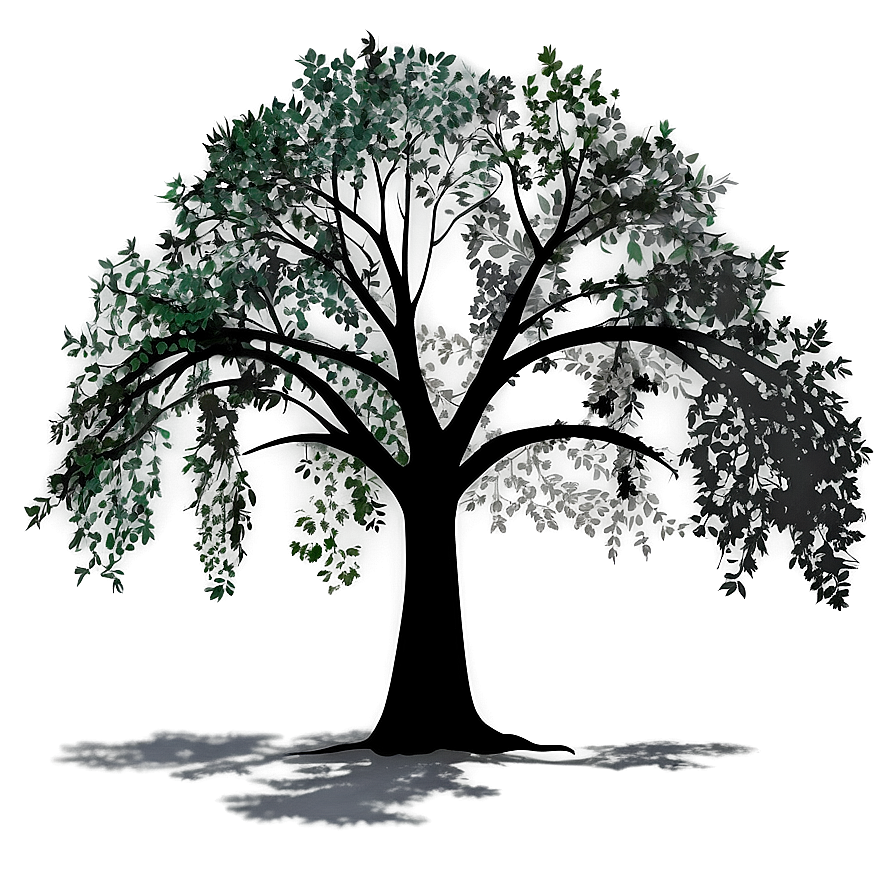 Countryside Tree Shadow Png Lqe