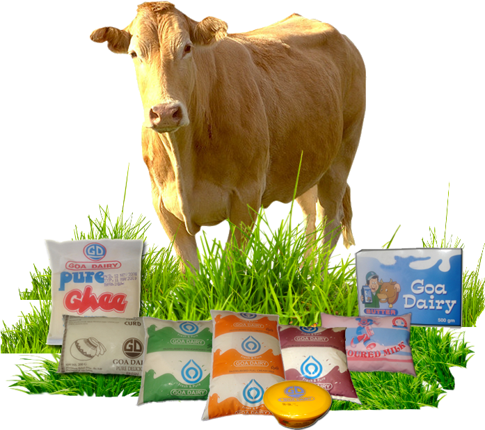 Cowand Dairy Products Display