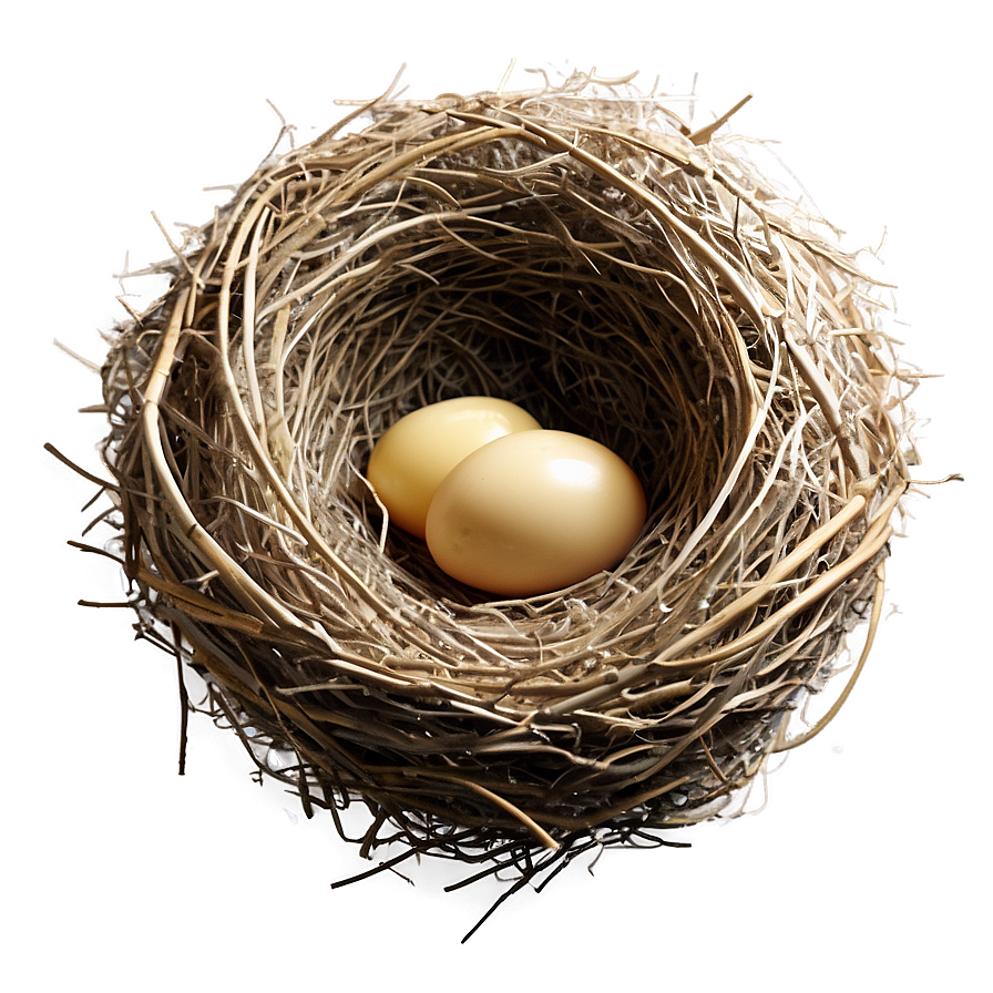Cozy Bird Nest PNG 05252024 PNG image with a transparent background, free high-resolution download