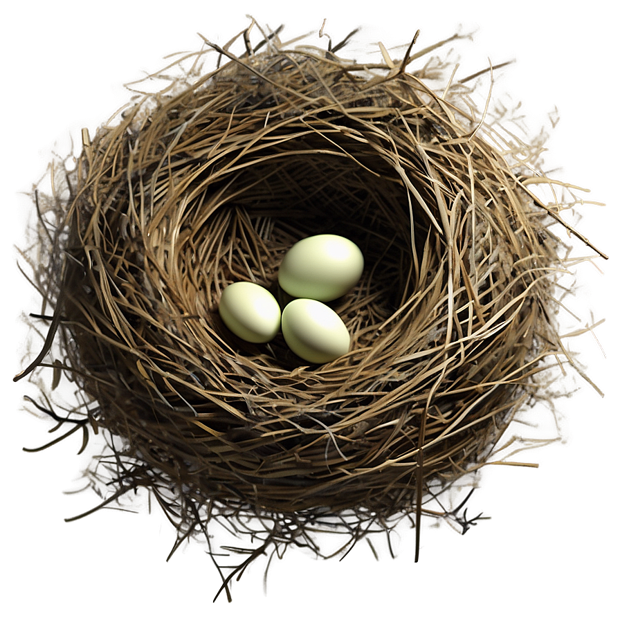 Cozy Bird Nest Png 31