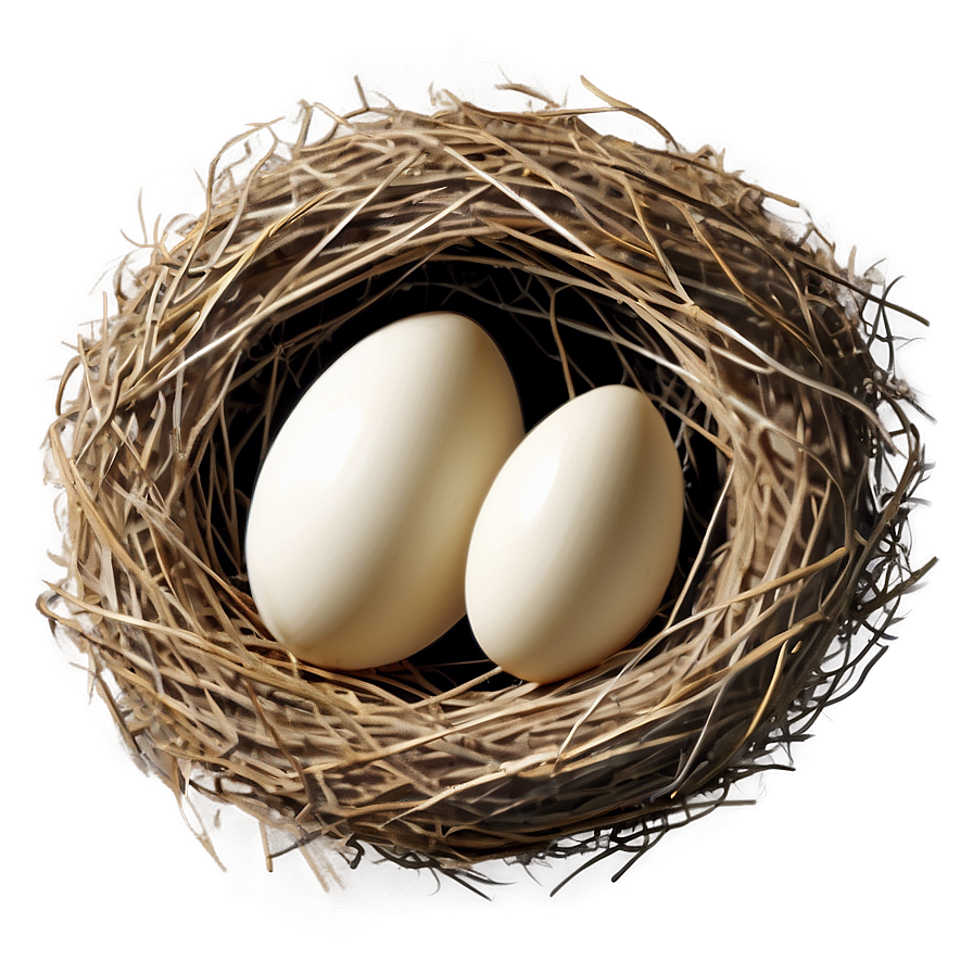 Cozy Bird Nest PNG nur PNG image with a transparent background, free high-resolution download