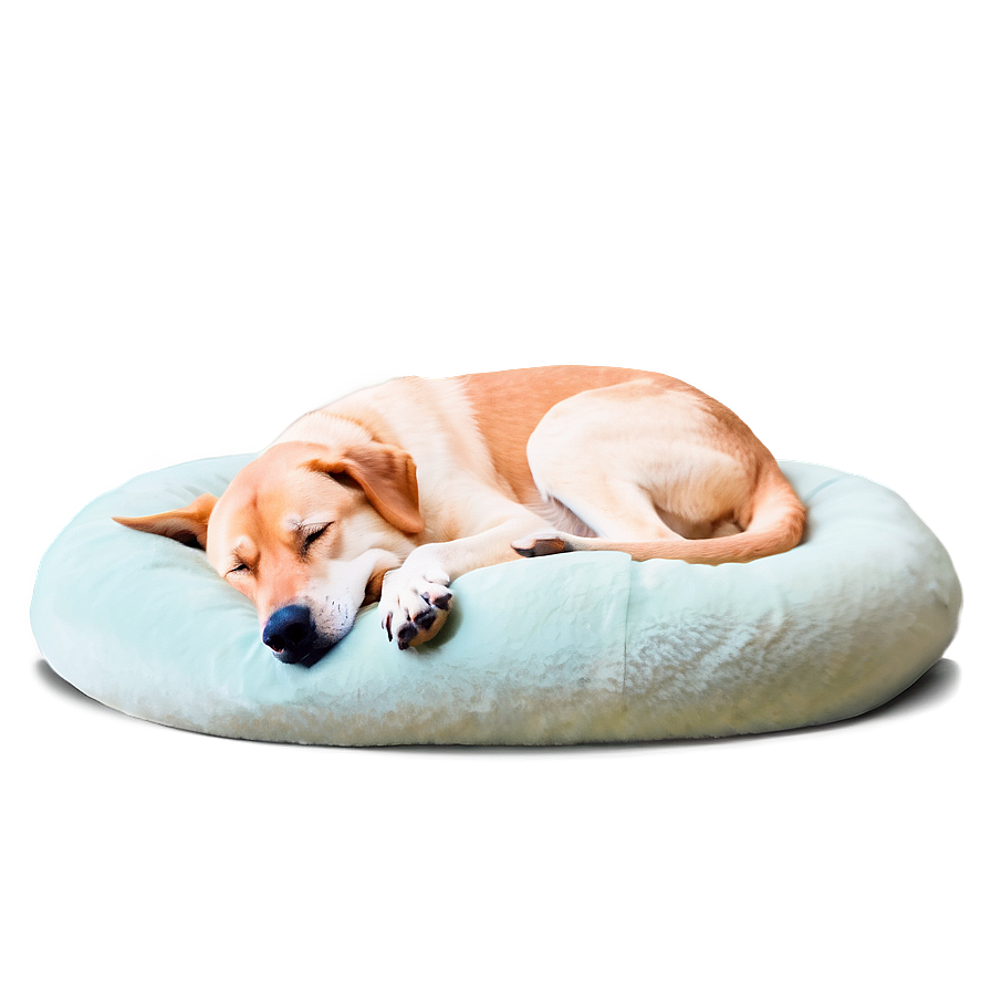 Cozy Sleeping Dog PNG 05232024 PNG with transparent background