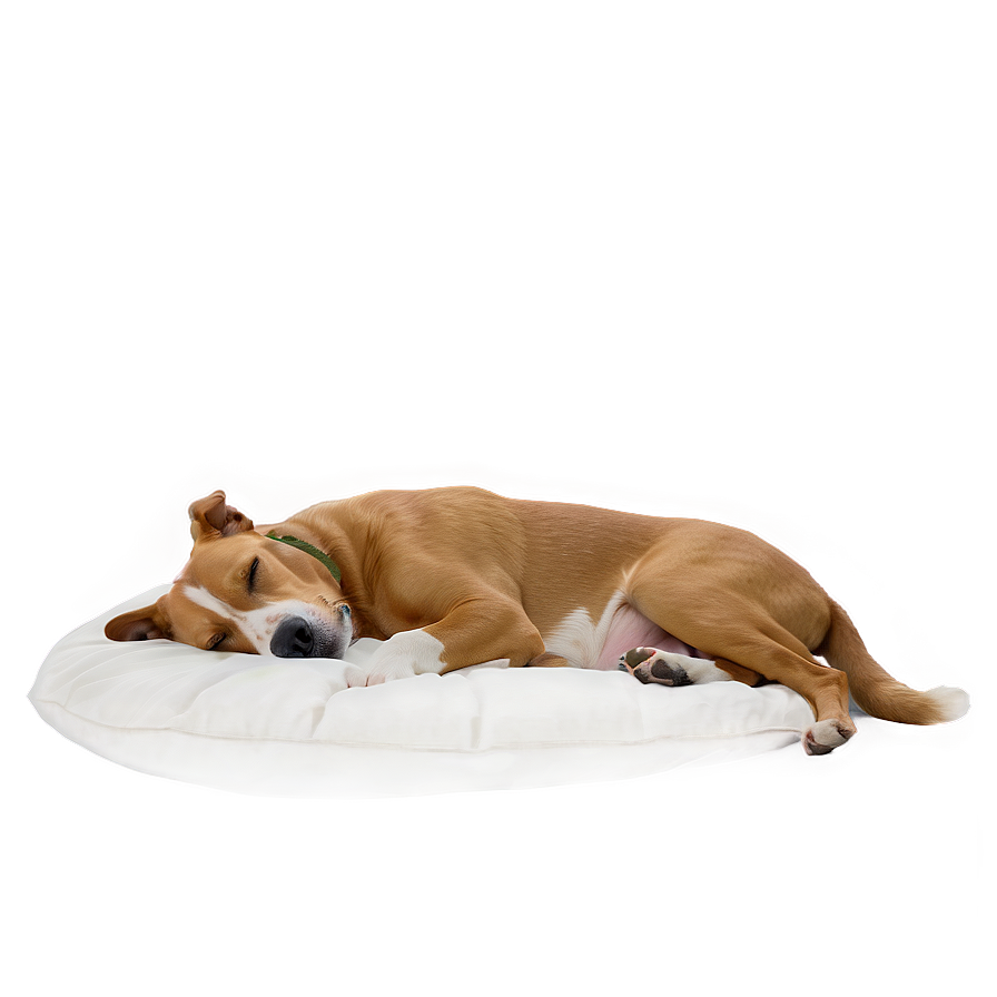 Cozy Sleeping Dog PNG oup PNG with transparent background