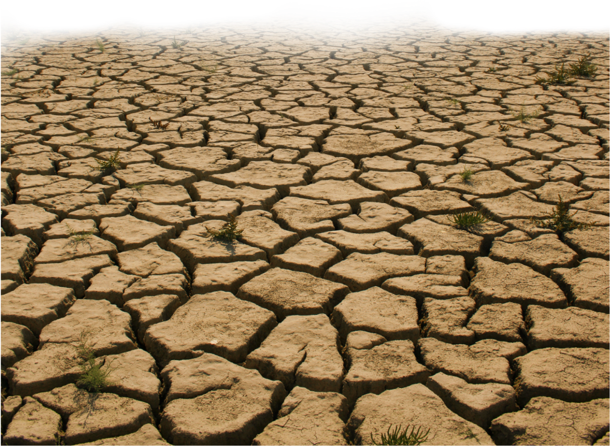 #cracked #dryearth #parched #ground #dirt - Soil Land Png, Transparent Png PNG with transparent background