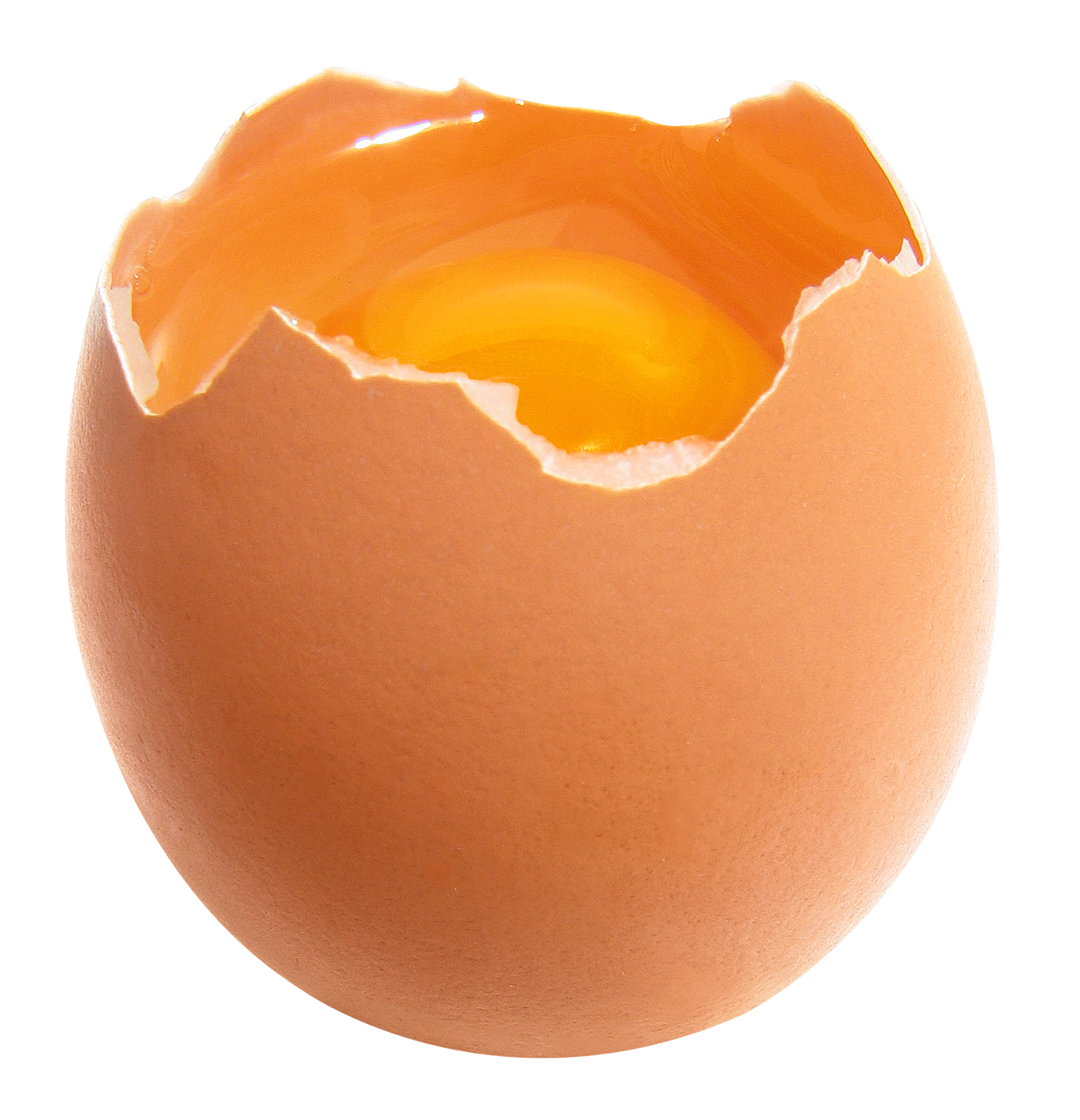 Cracked Egg Yolk Revealed.png