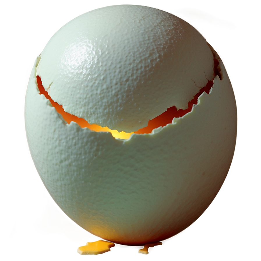 Cracked Eggshell Concept Png 48