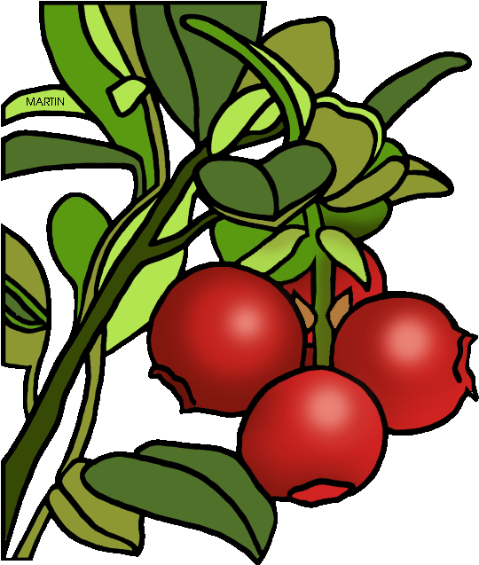 Transparent Cranberries Png - Cranberry Clipart Transparent, Png Download PNG with transparent background