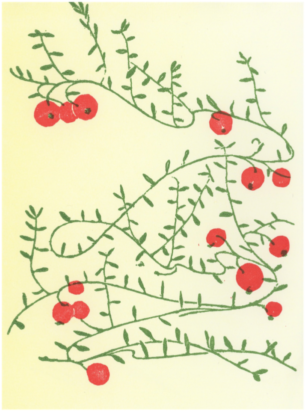 Cranberry Sprigs Illustration