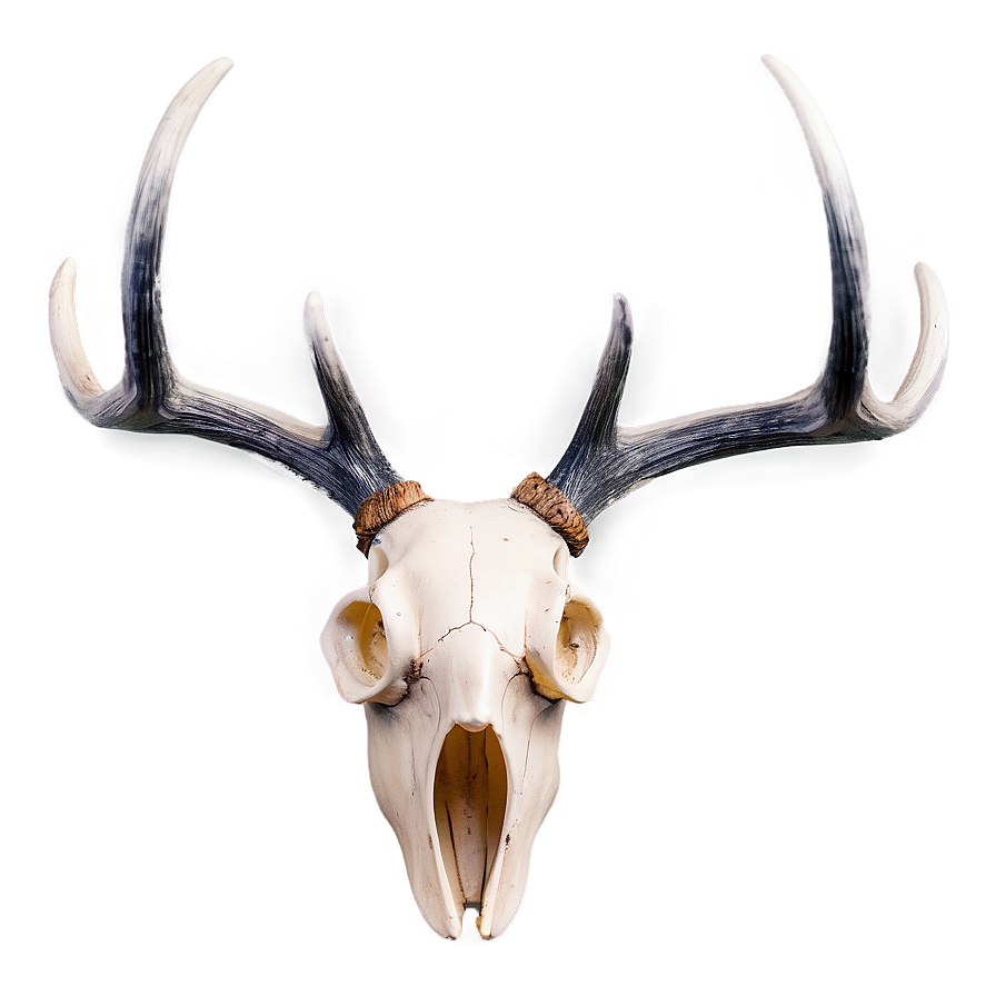 Creative Deer Antler Shape Png Qrq