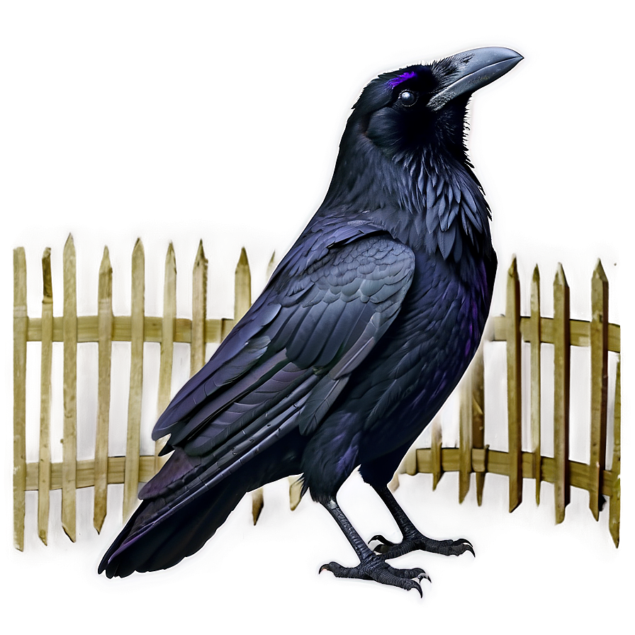 Creepy Raven Png 37