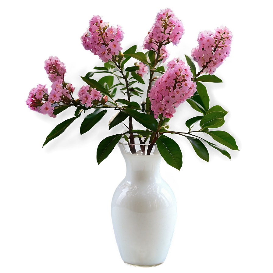 Crepe Myrtle In Vase Png 06282024