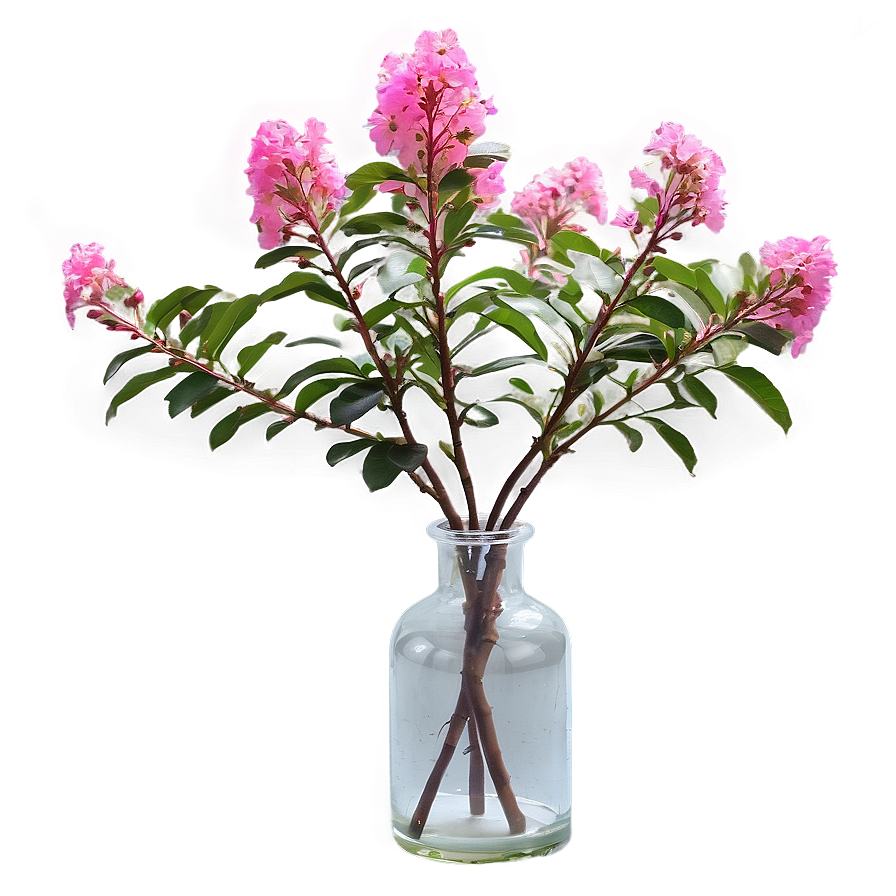 Crepe Myrtle In Vase Png Dnl98