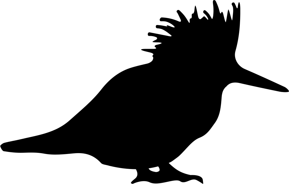 Crested Bird Silhouette Graphic