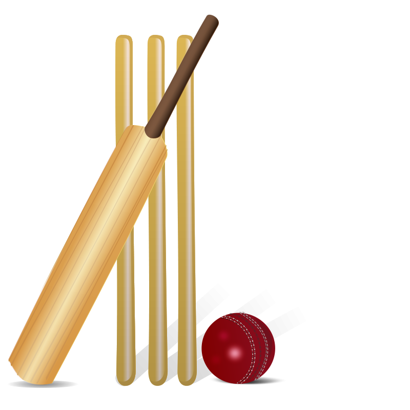 Cricket Bat Ball Stumps Illustration PNG with transparent background