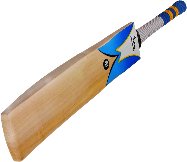 Cricket Bat Blue Logo Design