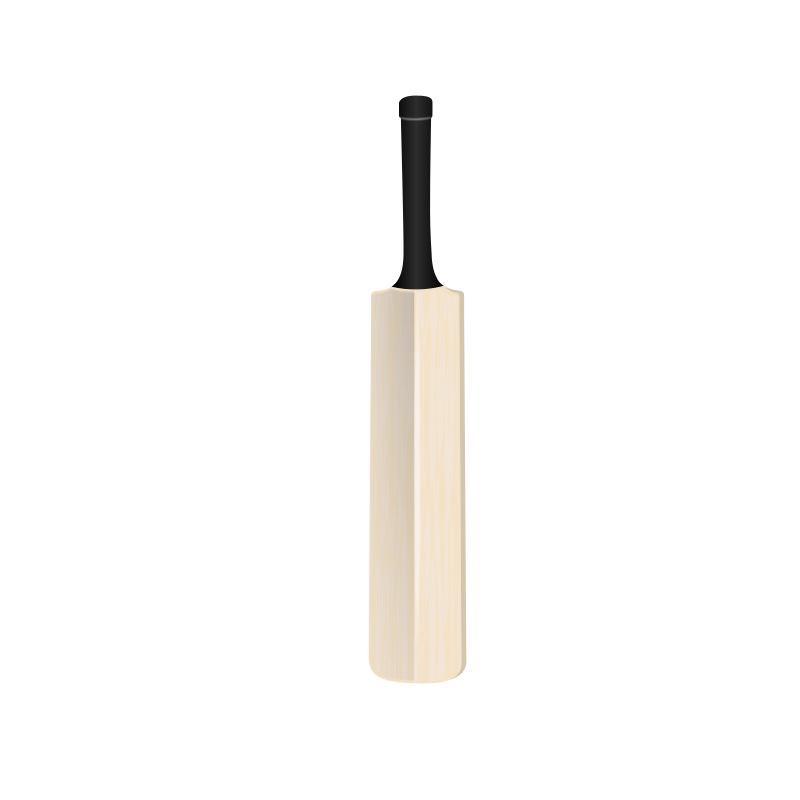 Cricket Bat Isolatedon Black