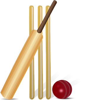 Cricket Equipment Illustration PNG with transparent background