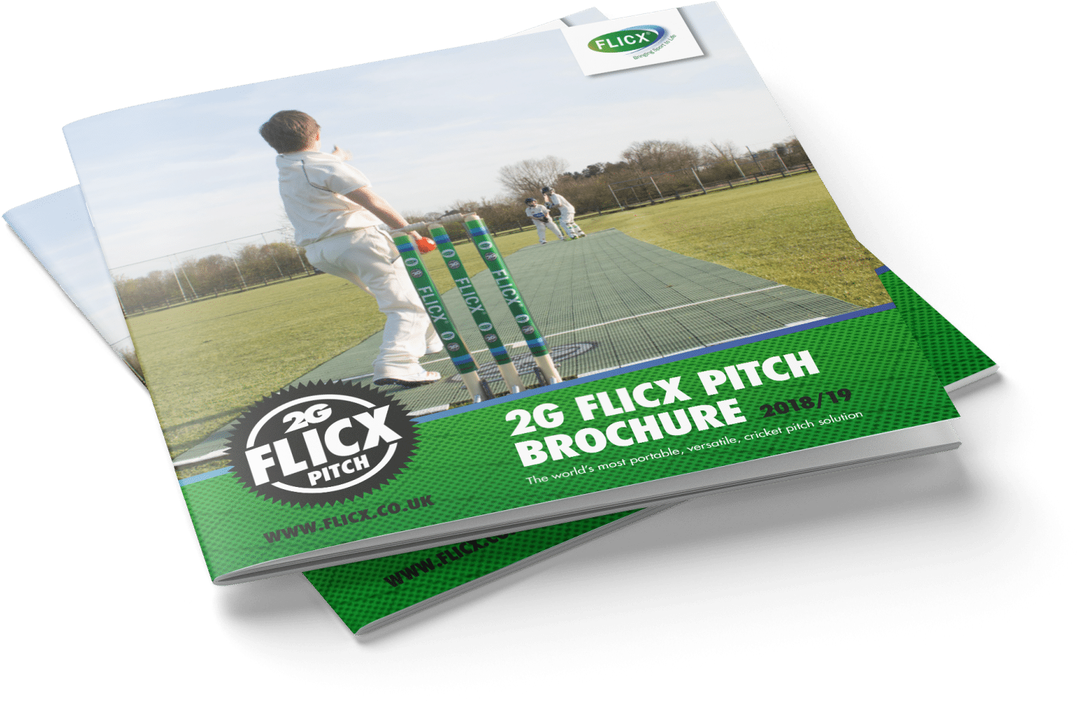 Cricket Pitch Brochure Mockup20182019 PNG with transparent background