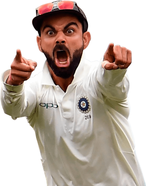 Cricket_ Player_ Celebration_ Moment.png