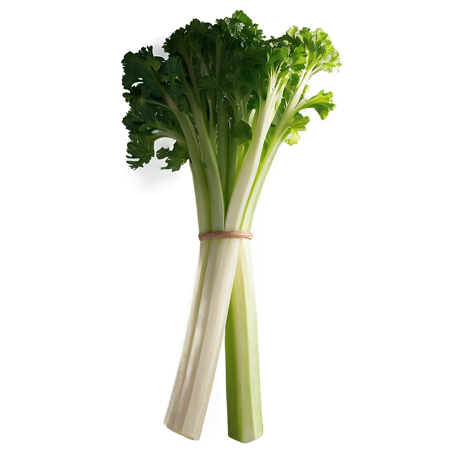 Crisp Celery Bunch Png Ylr