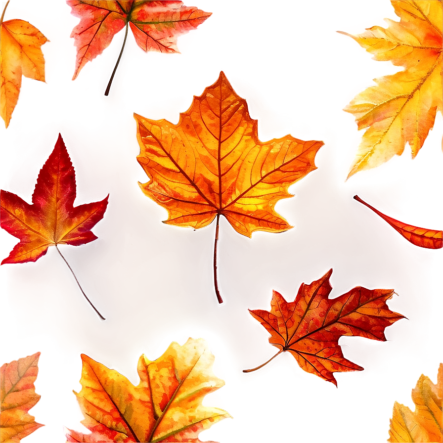 Crisp Fallen Leaves Texture Png 06292024