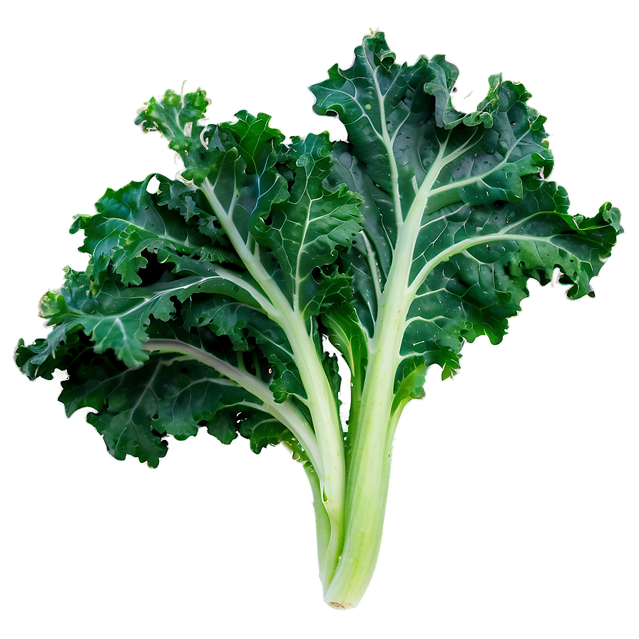 Crispy Kale Png 06252024