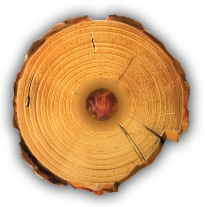 Cross Sectionof Tree Trunk PNG with transparent background