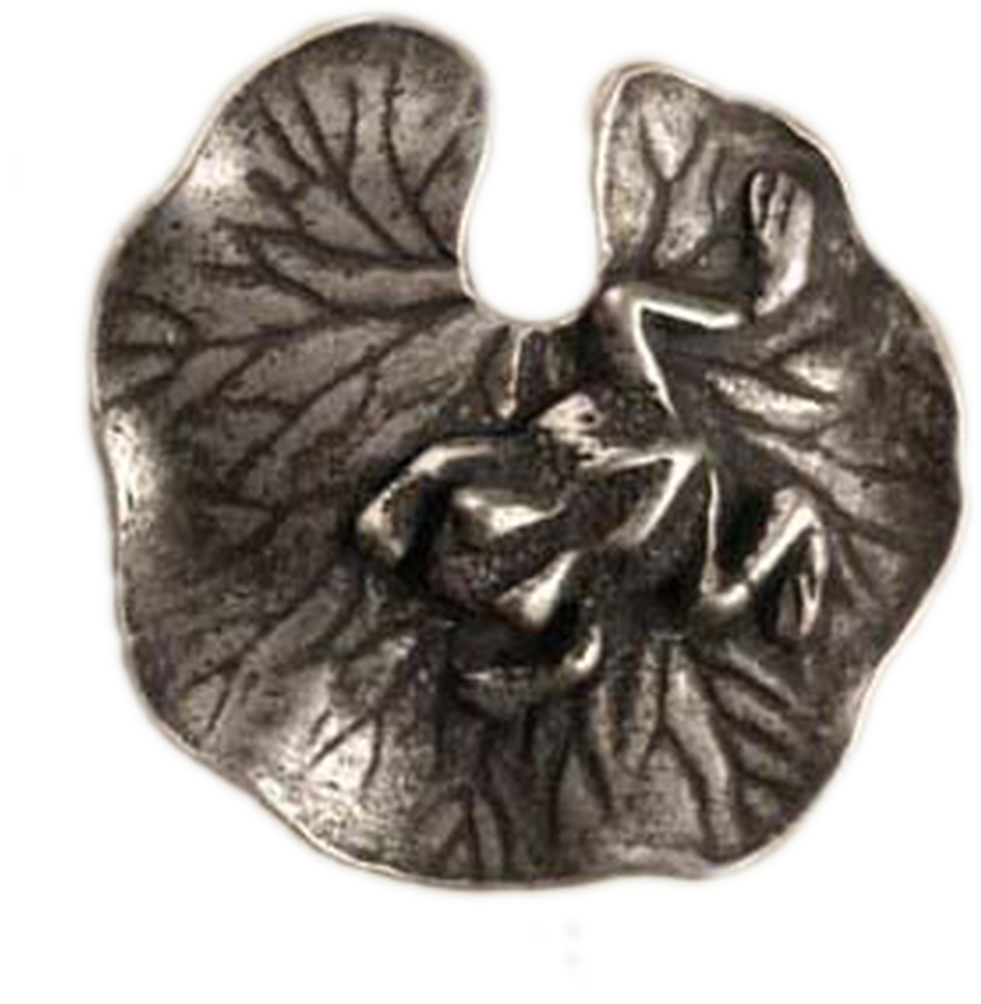 Cross Sectionof Walnut Resembling Brain