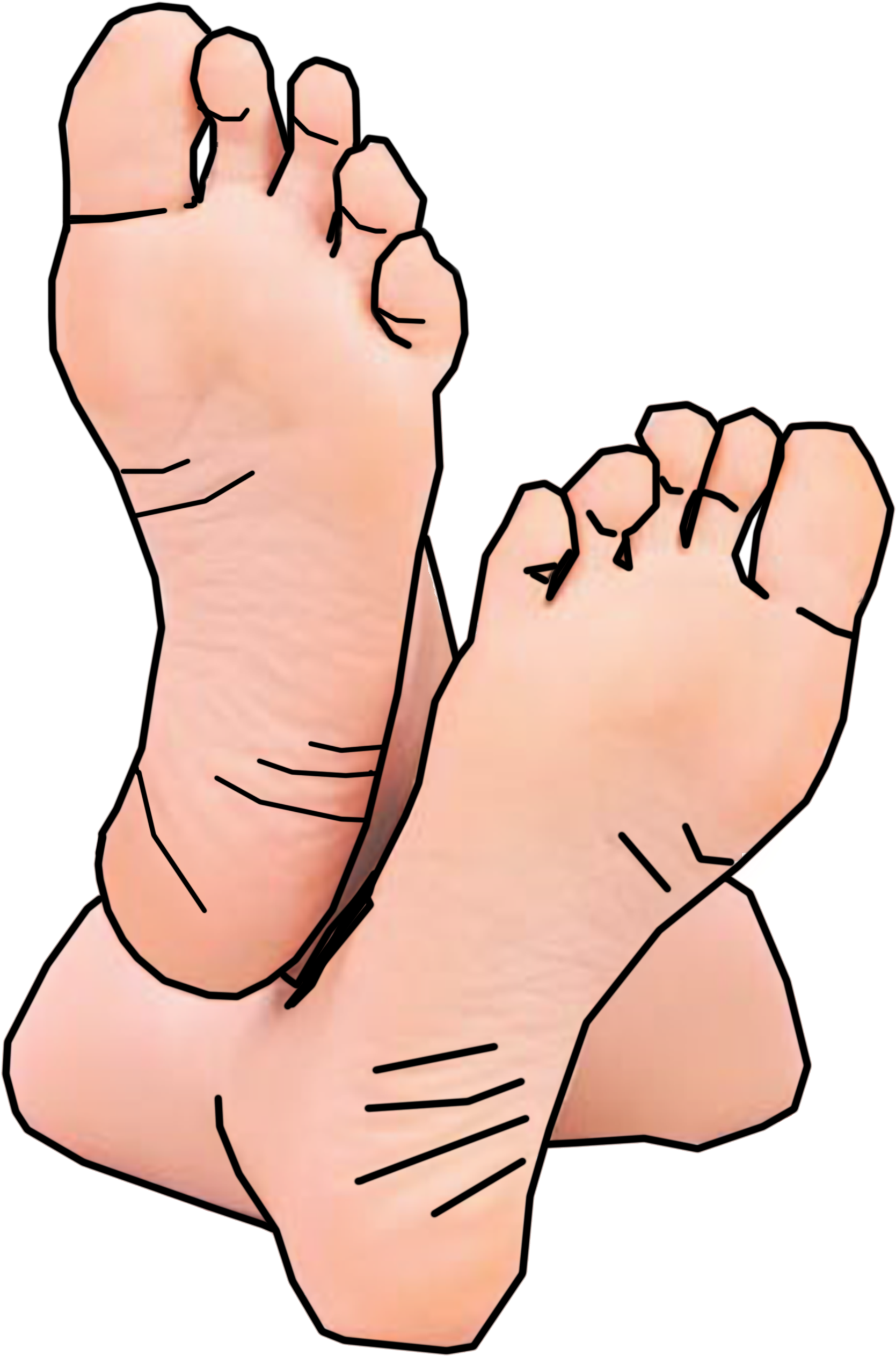 Feet Png - Free Clipart Feet, Transparent Png PNG with transparent background