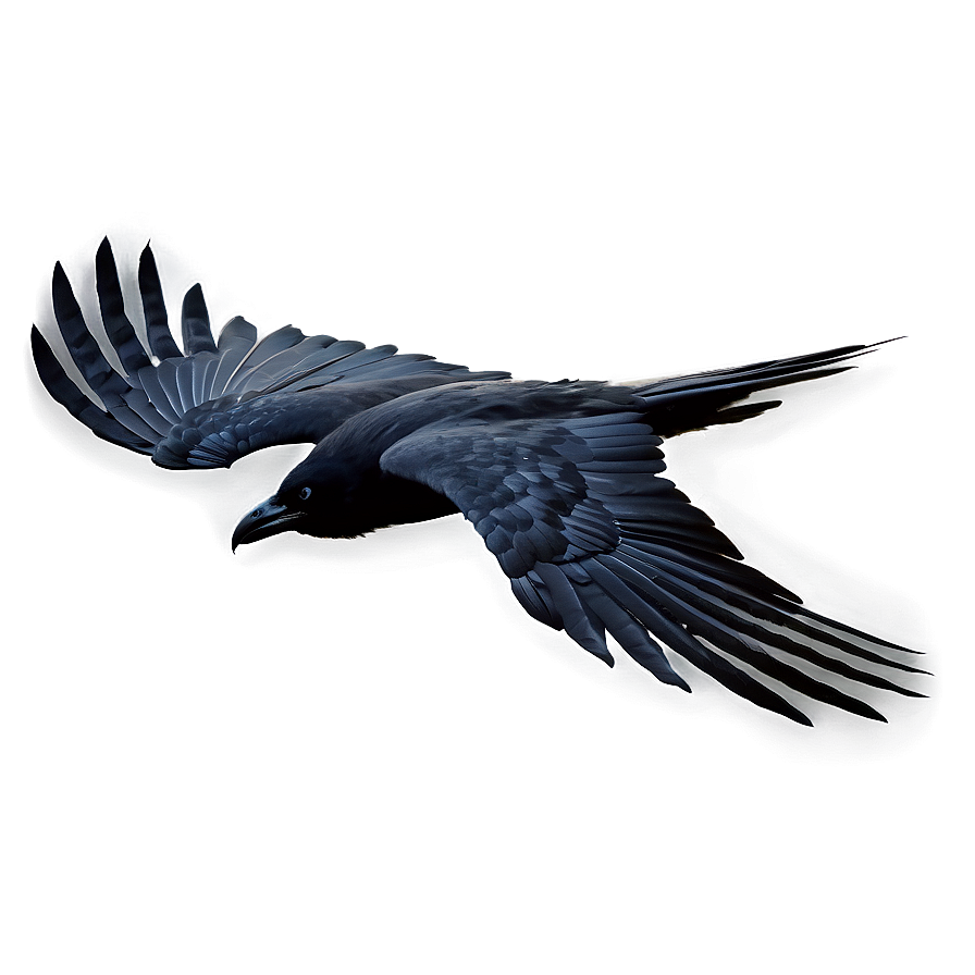 Crow In Flight Png 26