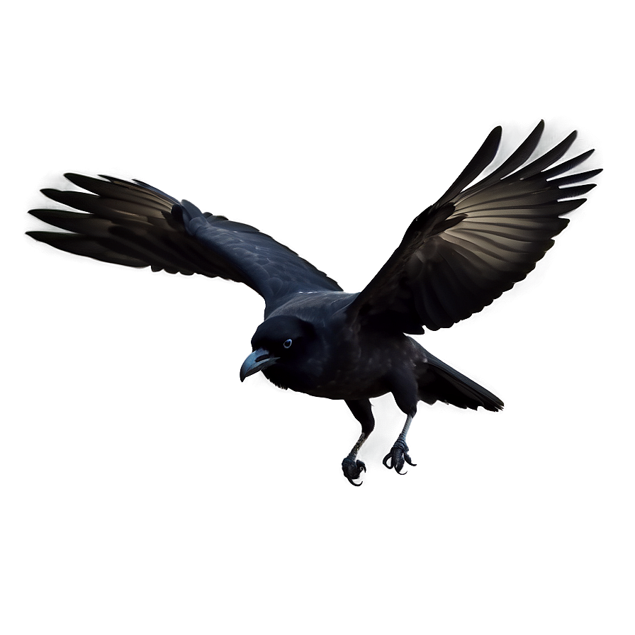 Crow In Flight Png 5