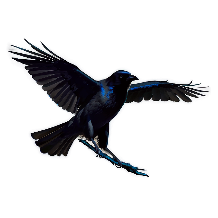 Crow Silhouette Png 05232024