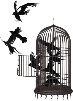 Crows Escaping Cage Dark Background PNG with transparent background