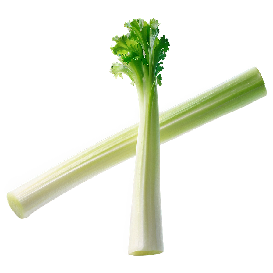 Crunchy Celery Png 06252024