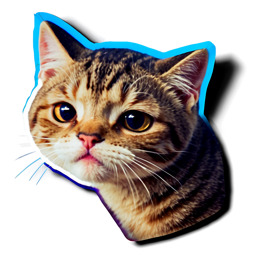 Crying Cat Sticker Design Png 59