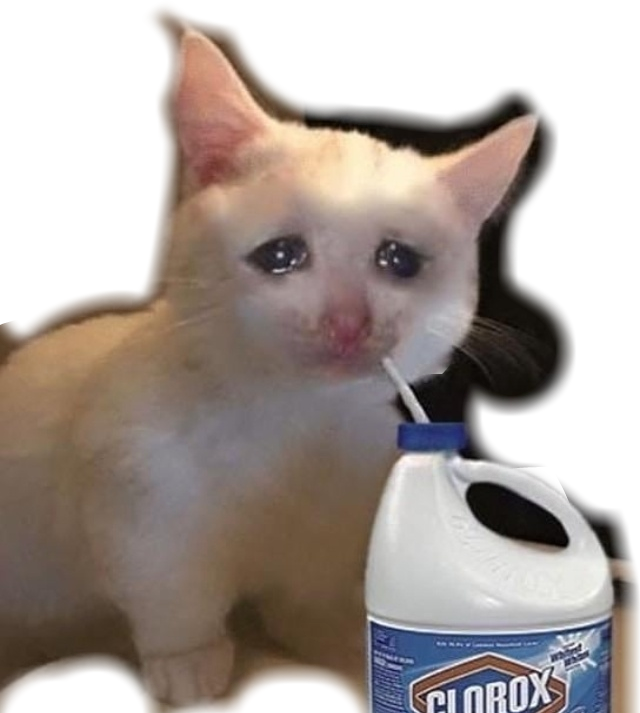 Crying Cat With Bleach Meme