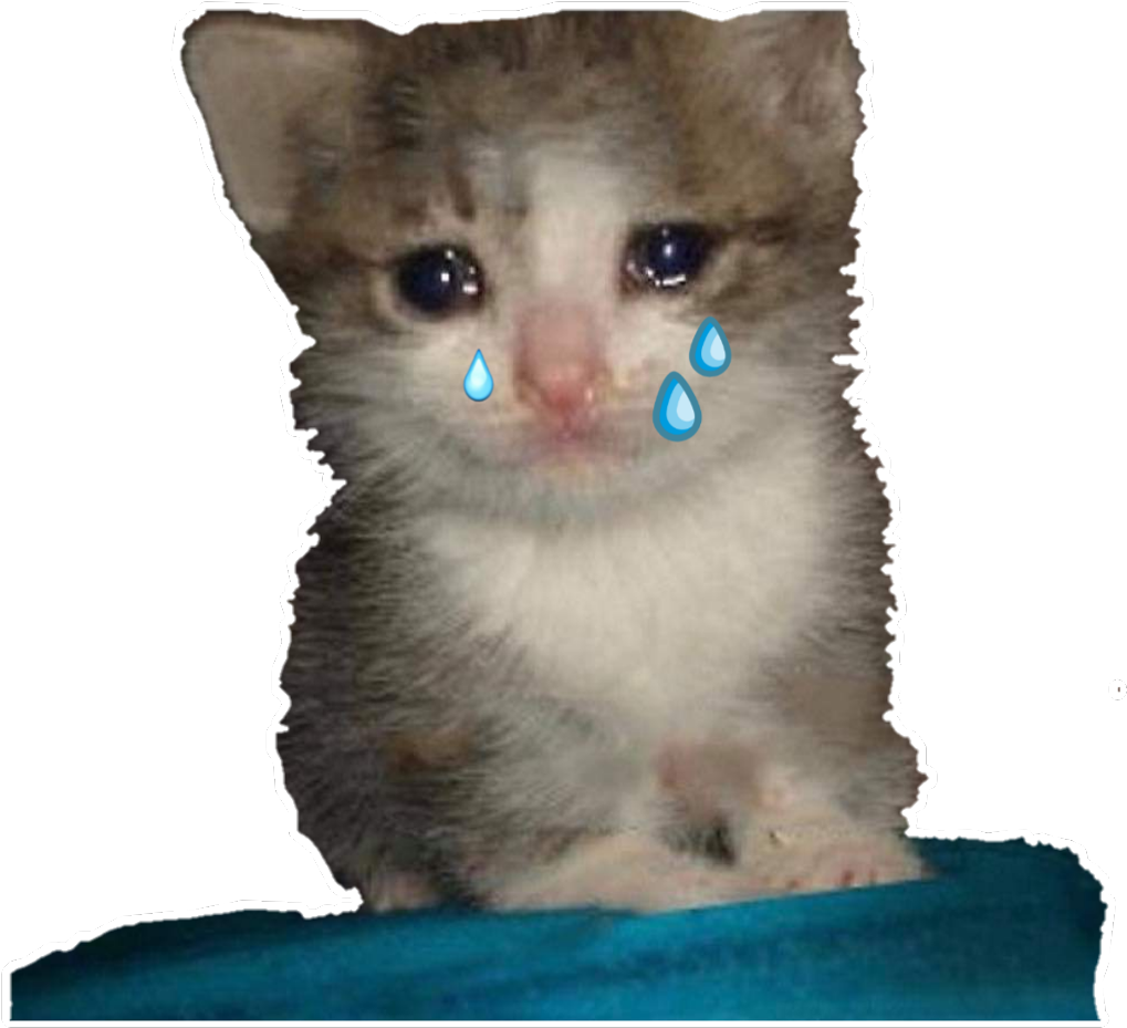 Crying_ Kitten_ Meme.png