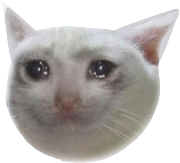 Cryingcat 181 Kb - Crying Cat Meme Png, Transparent Png PNG with transparent background