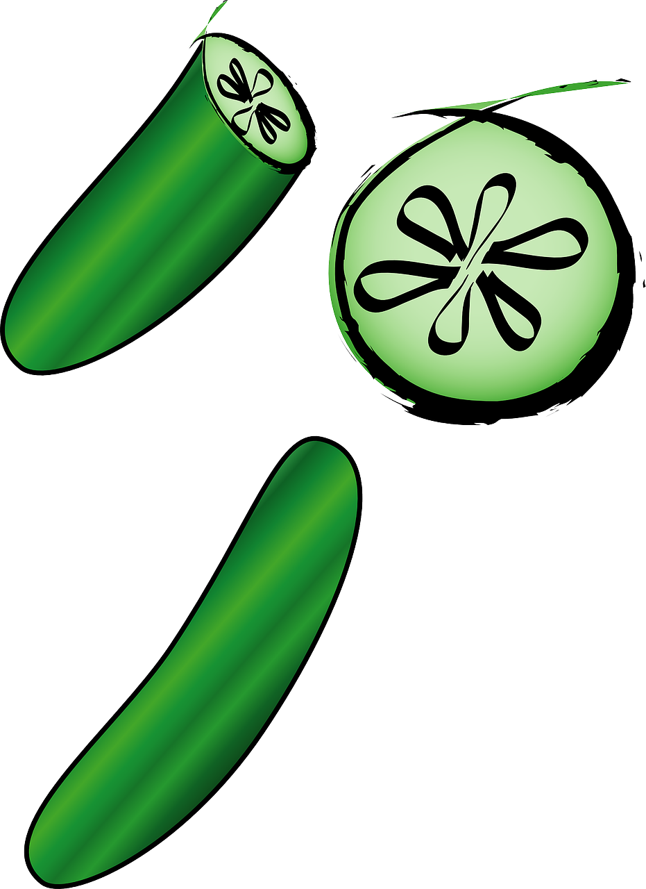 Cucumber Clip Art, HD Png Download PNG with transparent background