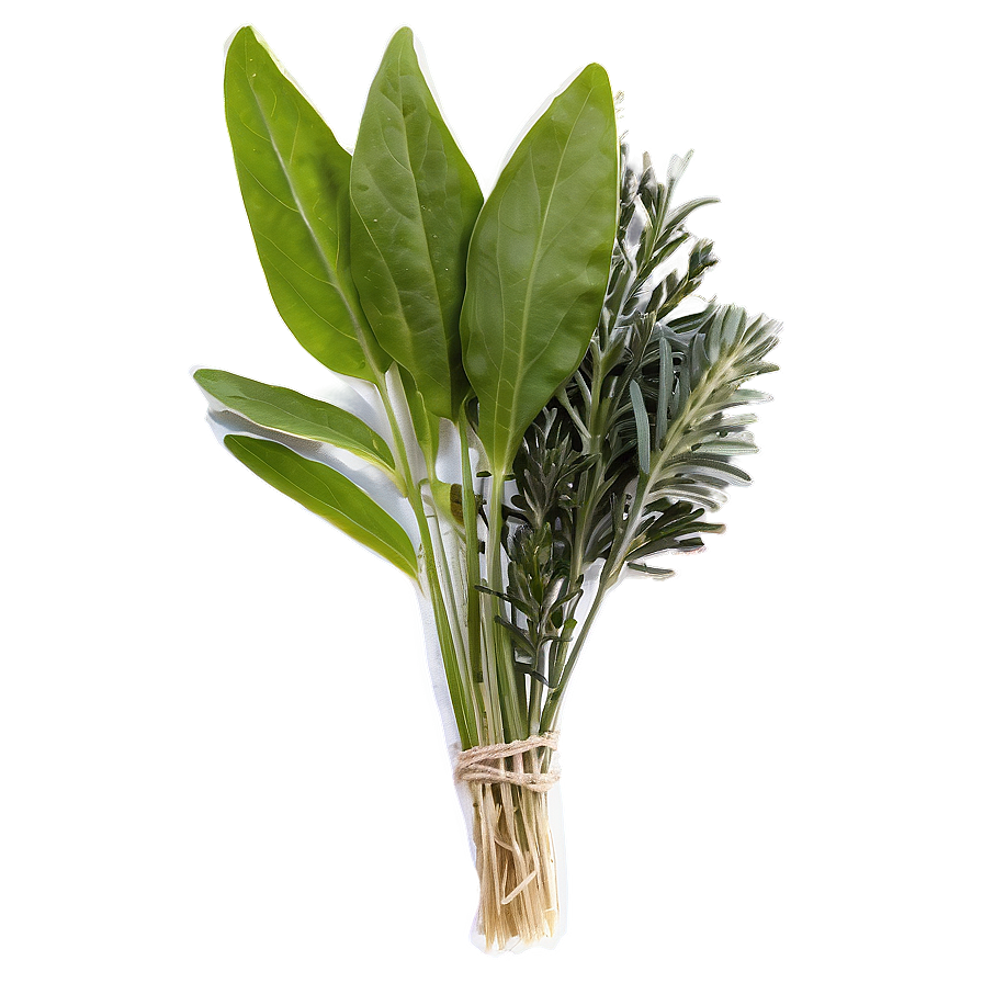 Culinary Herb Mix Png Pta