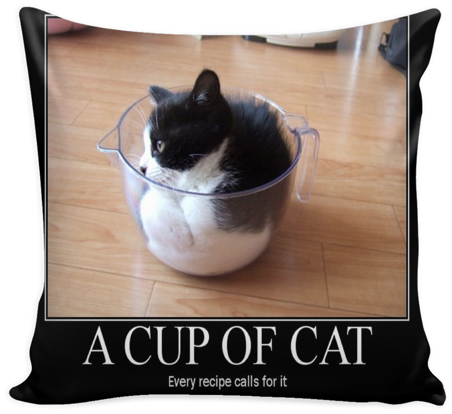 Cupof Cat Meme