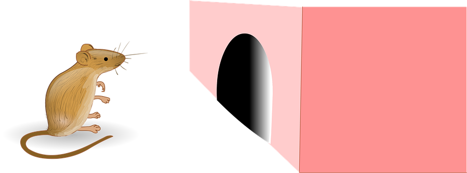 Curious Mouse Near Hole PNG with transparent background