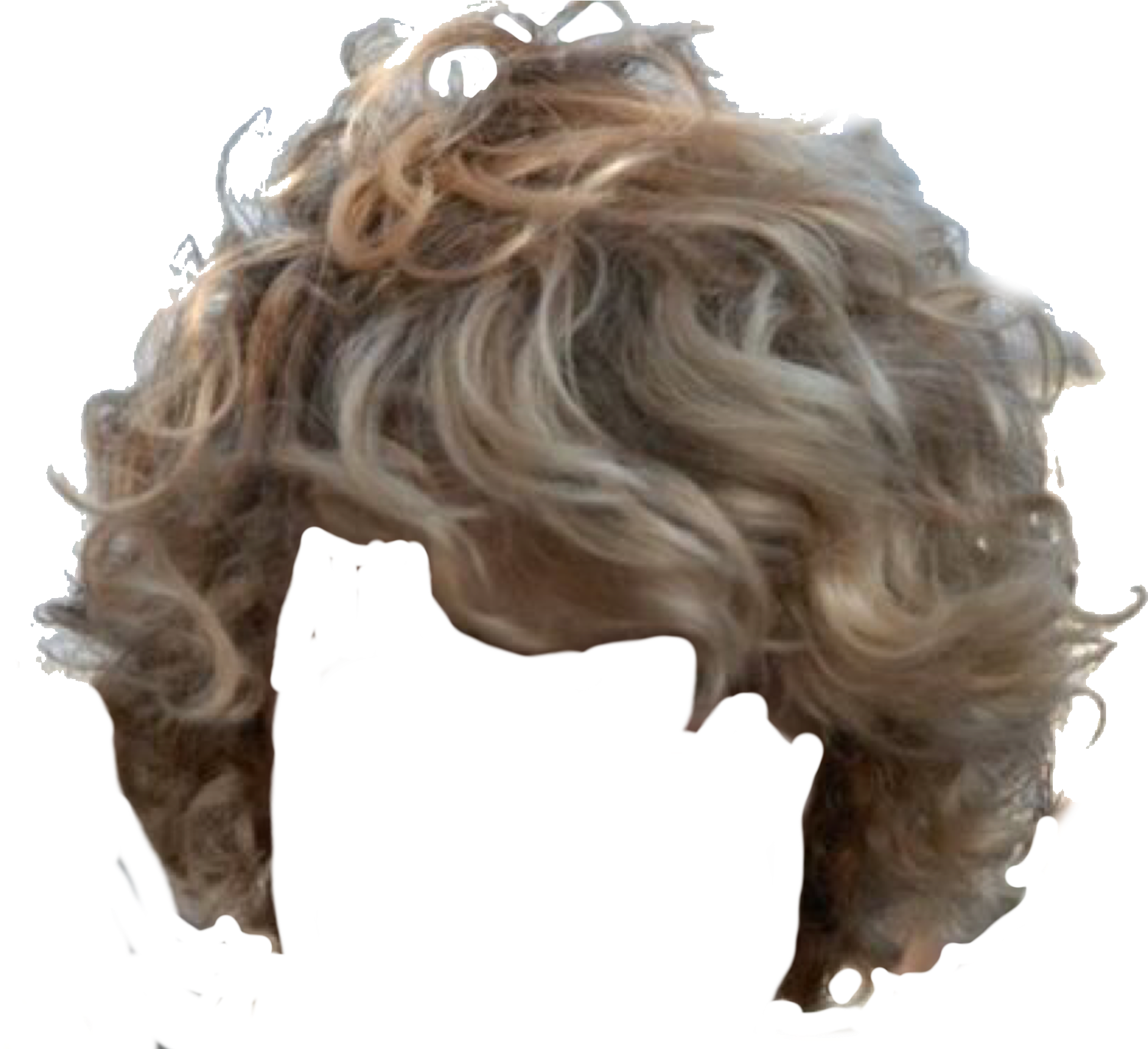 Guys With Blonde Curly Hair, HD Png Download PNG with transparent background