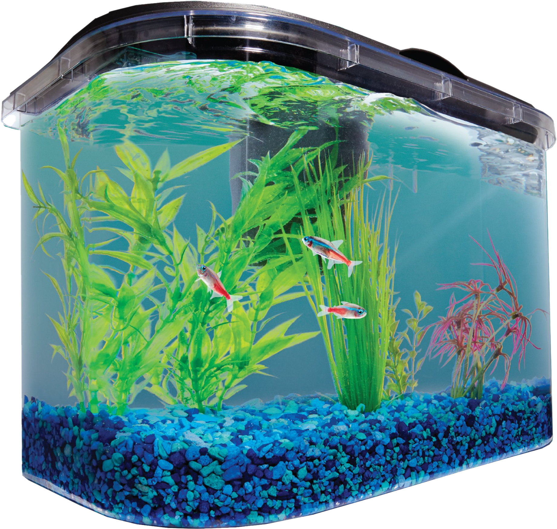 Aquarium Fish Tank Png Image - Aquarium, Transparent Png PNG with transparent background