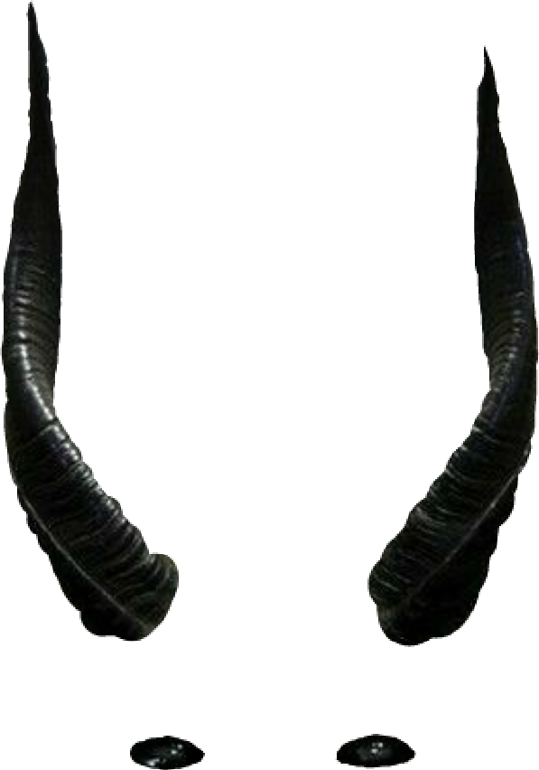 Curved Black Horns