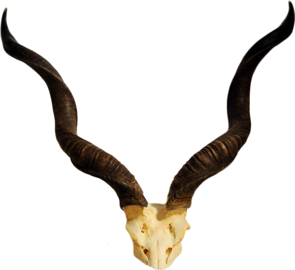 Curved Goat Horns Transparent Background